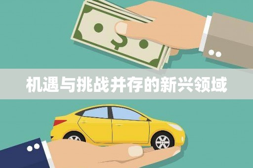 伊川机遇与挑战并存的新兴领域