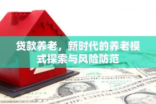 伊川贷款养老，新时代的养老模式探索与风险防范