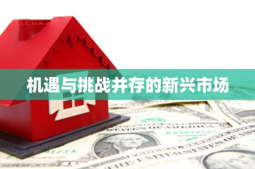 伊川机遇与挑战并存的新兴市场