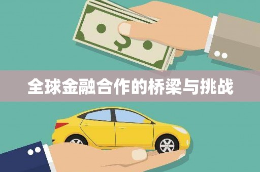 伊川全球金融合作的桥梁与挑战