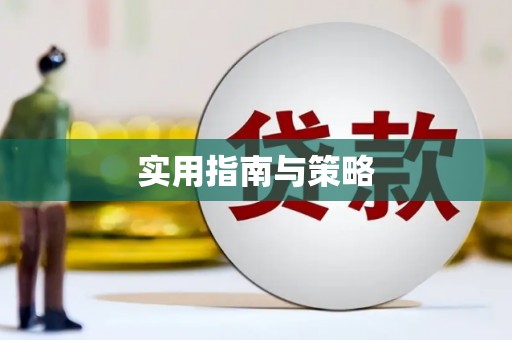 伊川实用指南与策略
