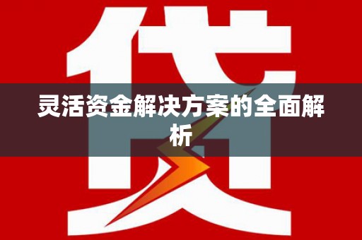 伊川灵活资金解决方案的全面解析
